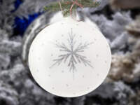 Set of - silver stars mix -  100 mm 6 pcs glass christmas balls 