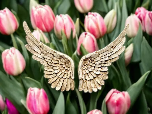 Wings of Angel -  30 x 40 cm decorative figurine 